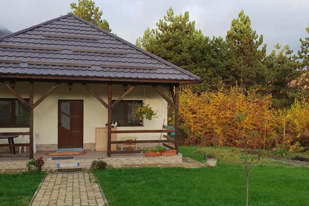 Limpedea Green House Nagybánya Kültér fotó