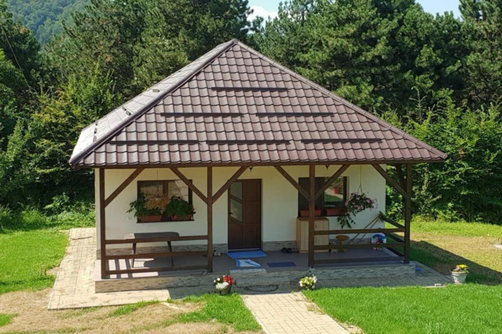 Limpedea Green House Nagybánya Kültér fotó
