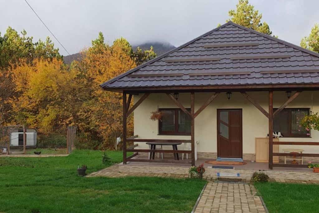 Limpedea Green House Nagybánya Kültér fotó