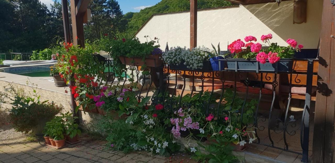 Limpedea Green House Nagybánya Kültér fotó